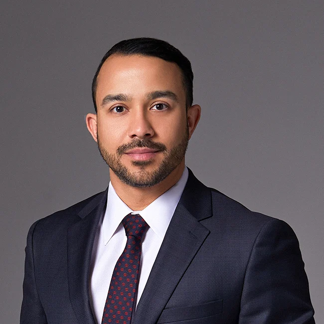 مهندس آرتین پناهی